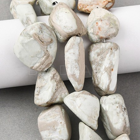 Natural Variscite Beads Strands G-D098-C09-1