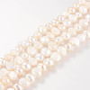 Natural Cultured Freshwater Pearl Beads Strands X-A02SB015-1