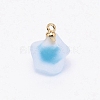 Resin Frosted Pendants MP-TAC0009-03I-2