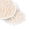 FGB Inside Colours Transparent Glass Seed Beads SEED-T009-01K-3