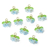 Glass Pendants PALLOY-YW00054-02-1