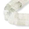 Natural Tianshan Cui Quartzite Beads Strands G-I394-A05-4