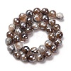 Electroplated Natural Agate Beads Strands G-B191-A07-10mm-12-4