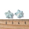 Natural Rainbow Alashan Agate Charms G-G194-02A-3