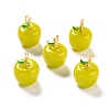 Handmade Lampwork Pendants LAMP-A150-06MG-06-2