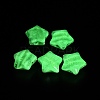 Luminous Transparent Resin Beads RESI-B039-17B-3