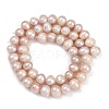 Natural Cultured Freshwater Pearl Beads Strands PEAR-I007-07X-06E-3