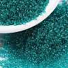 MIYUKI Round Rocailles Beads SEED-JP0010-RR2405-1