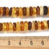 Natural Amber Beads Strands G-K387-C01-01-5
