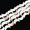 Natural Freshwater Shell Beads Strands SHEL-Q024-015B-01-1