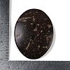 Carved Oval 2-hole Basic Sewing Button SHEL-K009-03-3