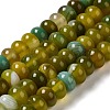 Natural Agate Beads Strands G-H295-C03-13-2