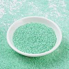 MIYUKI Round Rocailles Beads SEED-X0054-RR0218-2
