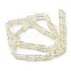 Electroplate Glass Beads Strands EGLA-L045-F-HR02-2