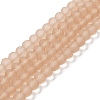 Transparent Glass Beads Strands EGLA-A034-T8mm-MD20-1