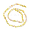 Gradient Color Electroplate Glass Bead Strands GLAA-E042-02D-2