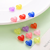 Transparent Acrylic Beads MACR-S373-25E-6