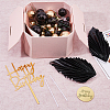 Acrylic & Paper Birthday Cake Insert Card Decoration AJEW-FH0004-55-5