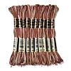 10 Skeins 6-Ply Polyester Embroidery Floss OCOR-K006-A10-1