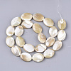Natural Trochid Shell/Trochus Shell Beads Strands SSHEL-N032-05-2