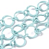 Eco-Friendly Alloy Spray Painted Link Chains LCHA-H005-01F-1