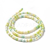 Glass Seed Bead Strands LAMP-B021-04B-3