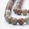 Natural Aqua Terra Jasper Strands X-G-S150-50-6mm-3