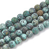 Natural African Turquoise(Jasper) Beads Strands X-G-T106-204-1