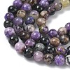 Natural Charoite Beads Strands G-C270-O03-02-4