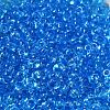 Transparent Colours Glass Seed Beads SEED-P006-02A-08-3