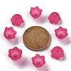 Transparent Acrylic Beads Caps PL543-12-4