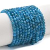 Natural Apatite Beads Strands G-Z160-A01-4mm-1