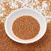 MIYUKI Delica Beads SEED-X0054-DB1702-2