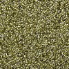 MIYUKI Round Rocailles Beads SEED-JP0008-RR1125-3