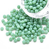 6/0 Imitation Jade Glass Seed Beads SEED-N004-006-15-1