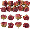 10Pcs Preserved Rose Pendants KY-TA0001-59C-1