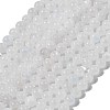 Natural Rainbow Moonstone Beads Strands G-P335-12-6mm-2