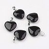 Natural Black Agate Pendants G-G956-B04-FF-1