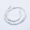 Natural Howlite Beads Strands X-G-P353-01-6mm-2
