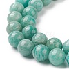 Natural Amazonite Beads Strands G-F461-12-10mm-01-4