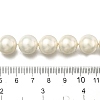 Polished Shell Pearl Round Beads Strands PEAR-XCP0001-10-4