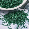 MIYUKI Delica Beads SEED-X0054-DB1788-1