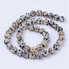 Natural Dalmatian Jasper Beads Strands G-Q462-10mm-05-2