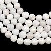 Round Grade A Natural Rainbow Moonstone Bead Strands G-M304-06-8.5mm-5