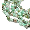 Natural Chrysoprase Beads Strands G-G0004-D01-A-01-3