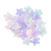 Transparent Acrylic Beads Caps OACR-B022-02C-1