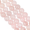2 Strands Natural Rose Quartz Dyed Beads Strands G-GO0001-27B-1