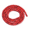 Synthetic Turquoise Beads Strands G-U004-02K-3
