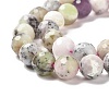 Natural African Opal Beads Strands G-K345-A03-03-4