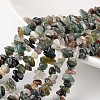 Nuggets Natural Indian Agate Bead Strands G-M344-10-1